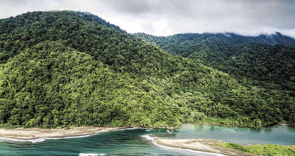 Su diversidad se enmarca en las miles de especies de fauna y flora que se encuentra allí.