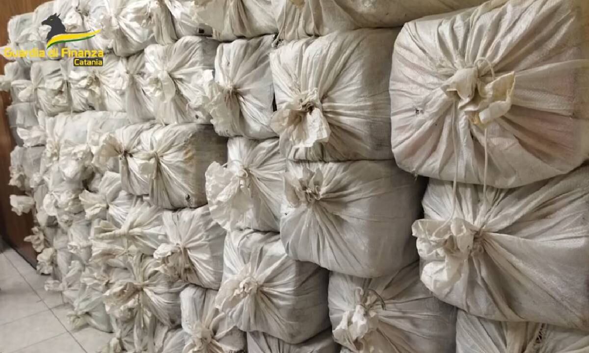 Unidades especializadas del mencionado Núcleo PEF de Catania procedieron a la inspección de los bultos