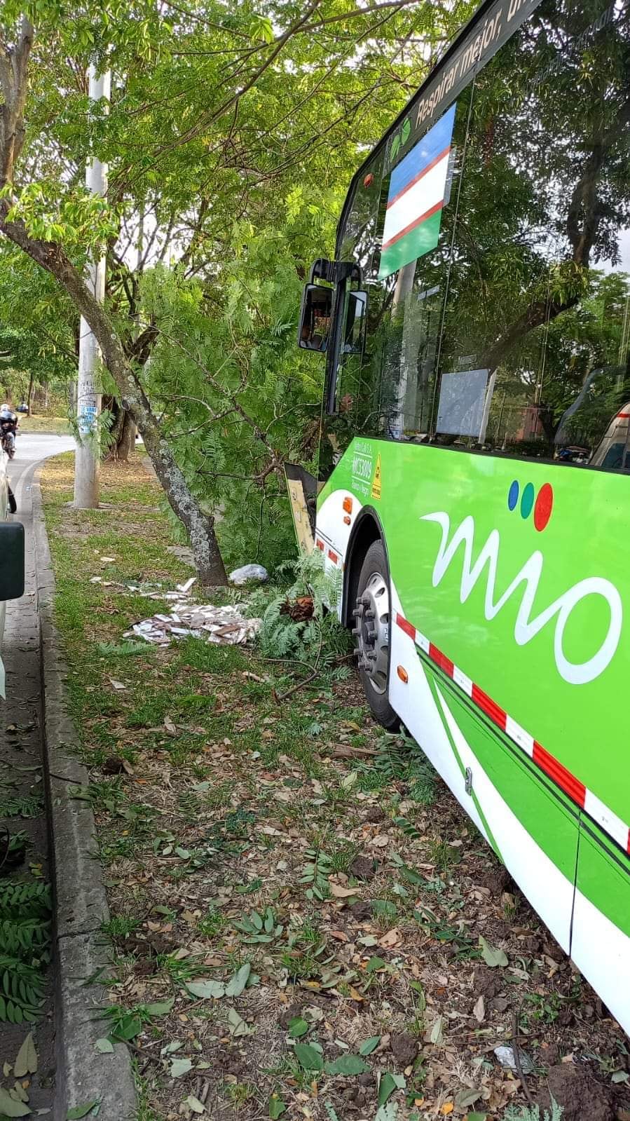 Un bus alimentador del MIO se estrelló contra un árbol en el sur de Cali.