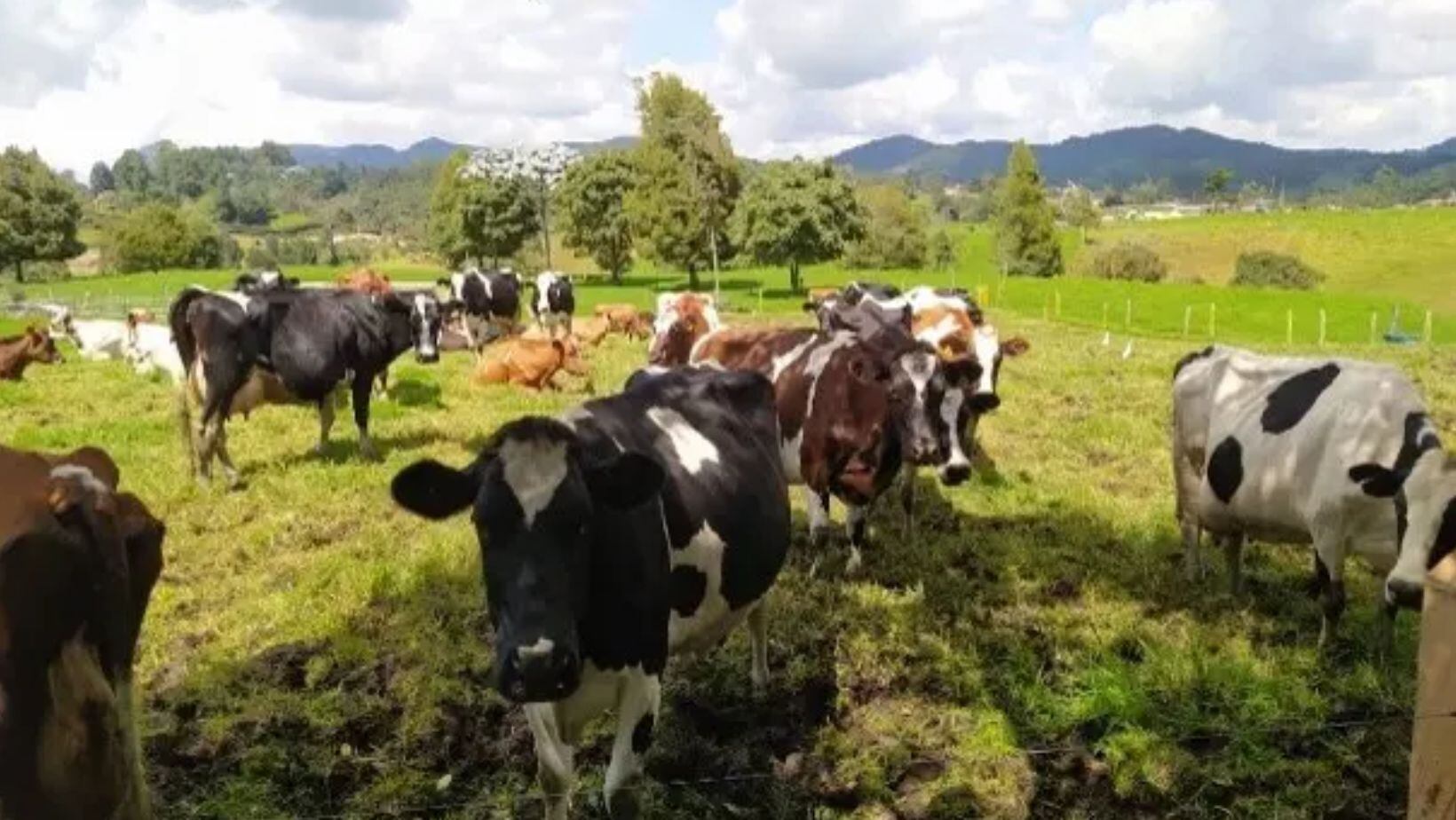 San Pedro de los Milagros, Antioquia