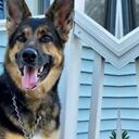 Sadie