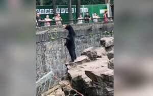 Twitter:@shanghaidaily