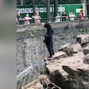 Twitter:@shanghaidaily