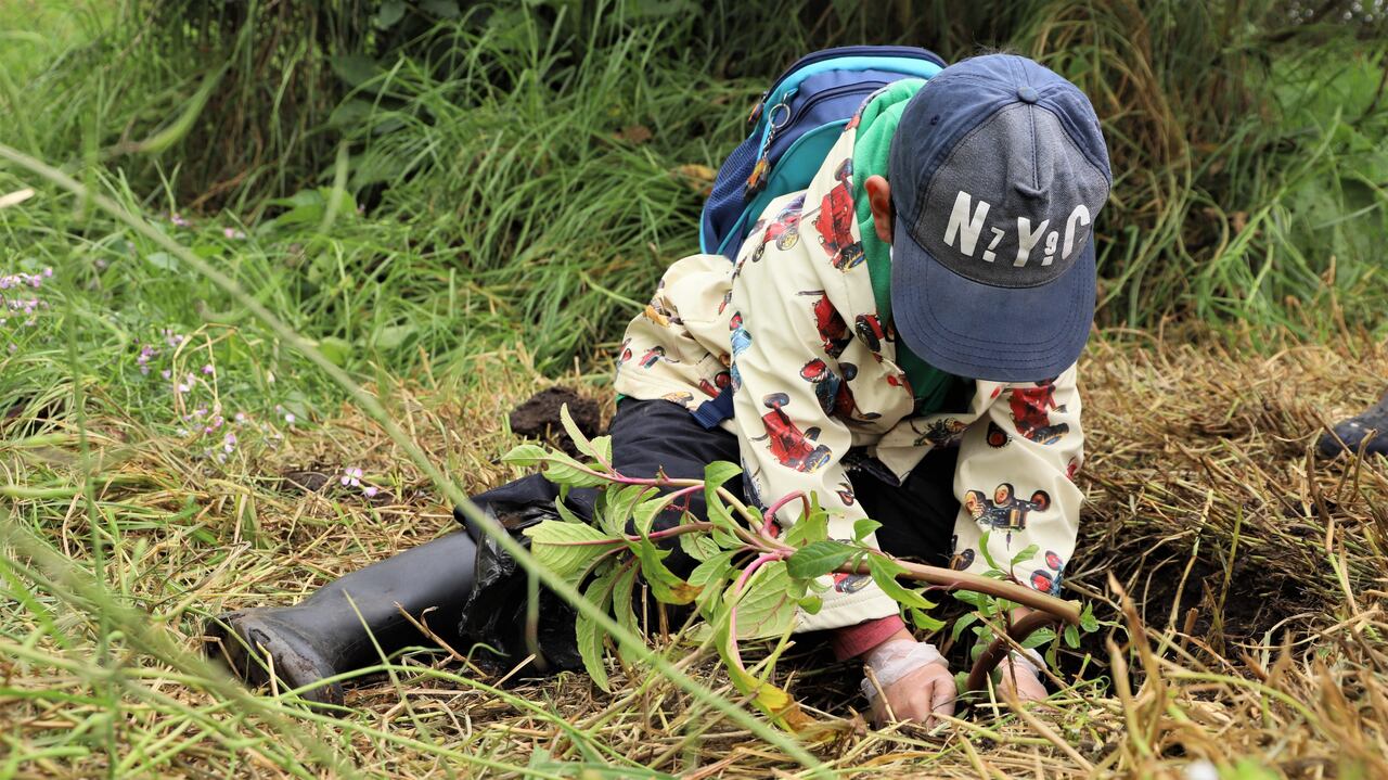 Niños, padres de familia y docentes del colegio San Bartolomé La Merced, la Secretaría de Ambiente y la empresa Aguas de Bogotá, participaron en la jornada.