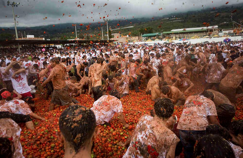 Guerra de tomates, undécima gran tomatina  colombiana , realizada en  el municipio de Sutamarchán, Boyacá