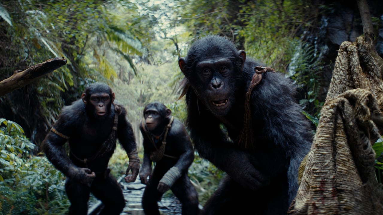 Noa (Owen Teague), Soona (Lydia Peckham) y Anaya (Travis Jeffery) en KINGDOM OF THE PLANET OF THE APES.