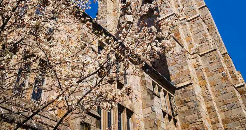 Universidad de Yale.
