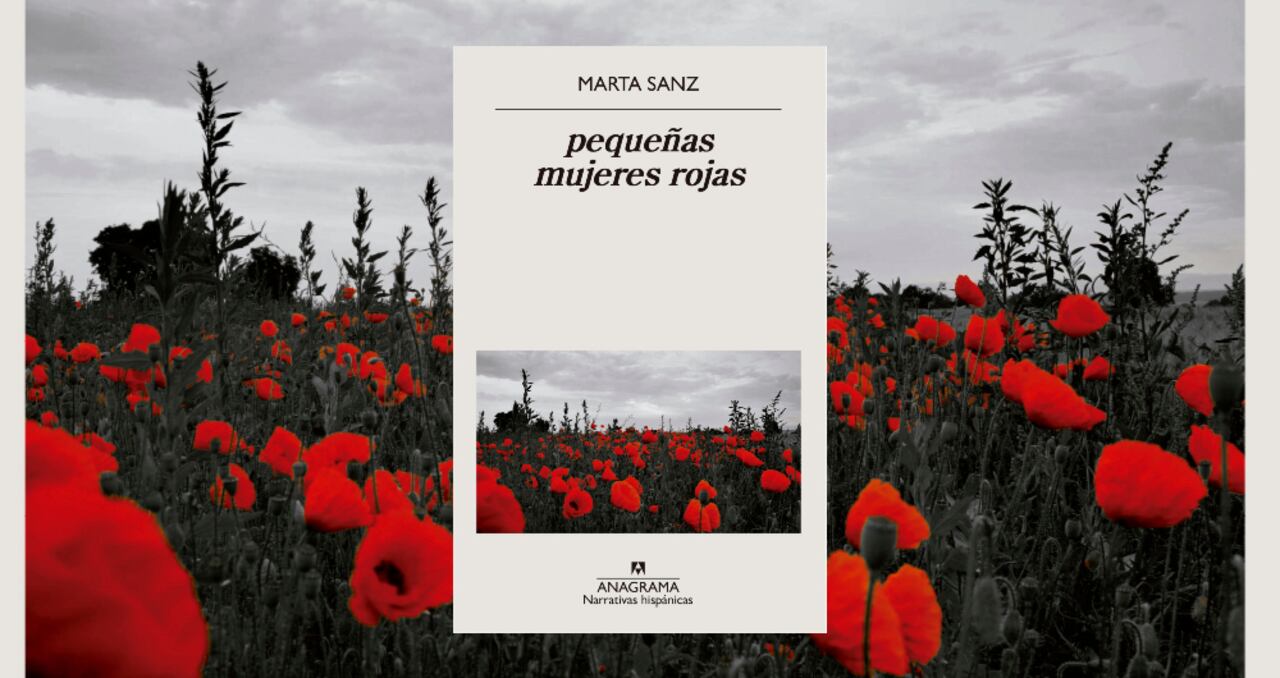 "pequeñas mujeres rojas" de Marta Sanz.