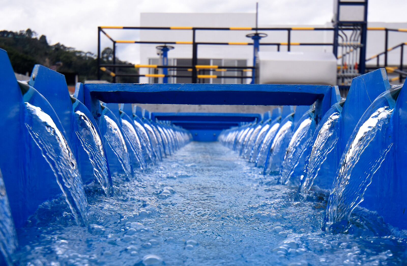 NO USAR USAR - USO EXCLUSIVO COMERCIAL SEMANA MEJOR COLOMBIA