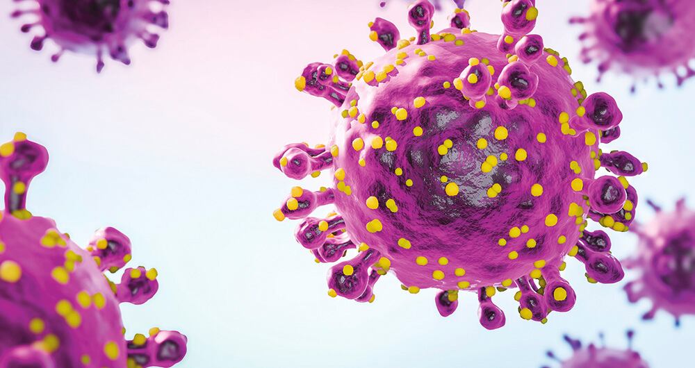 La meningococemia es una infección bacteriana grave que afecta el torrente sanguíneo