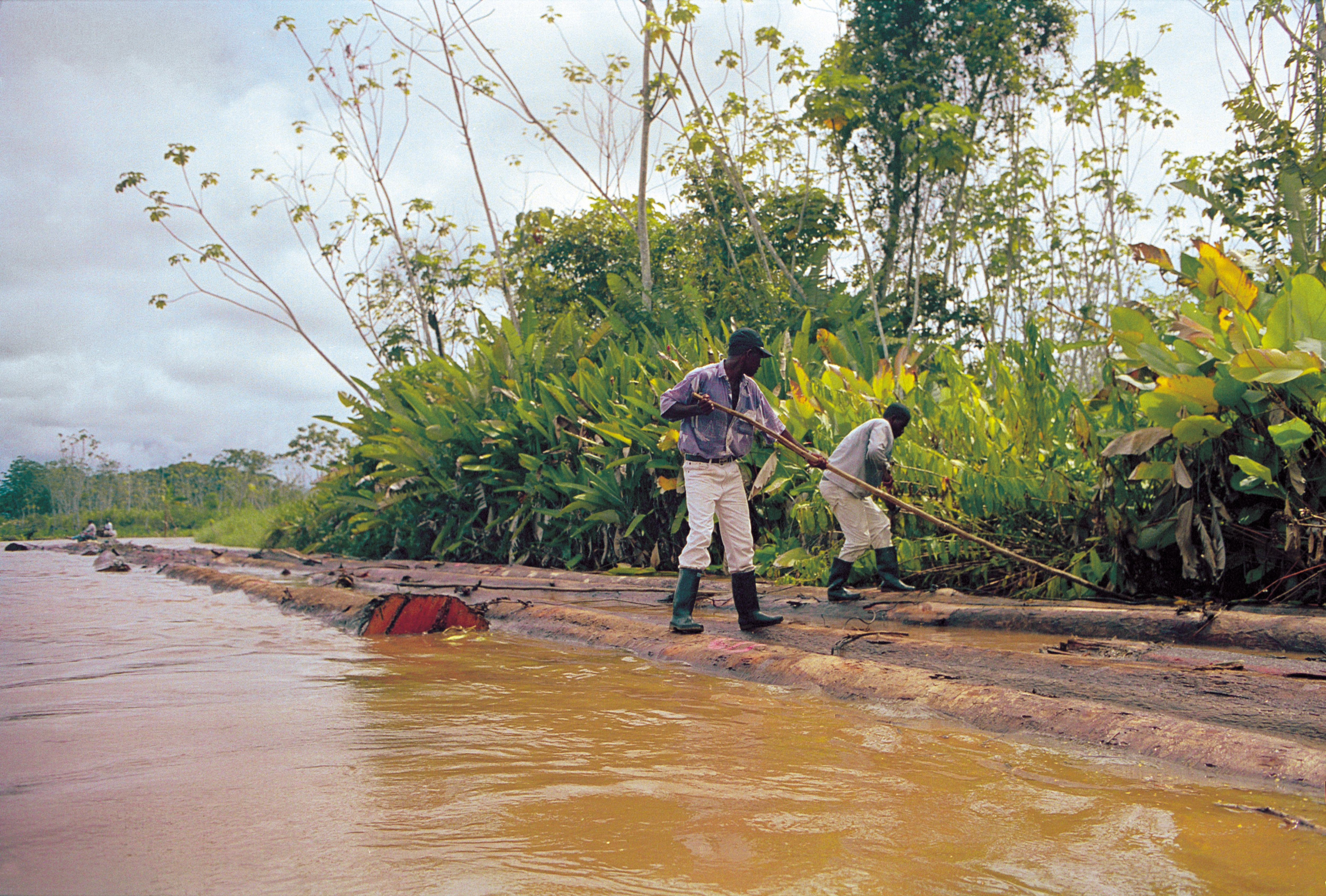 Personas de raza negra