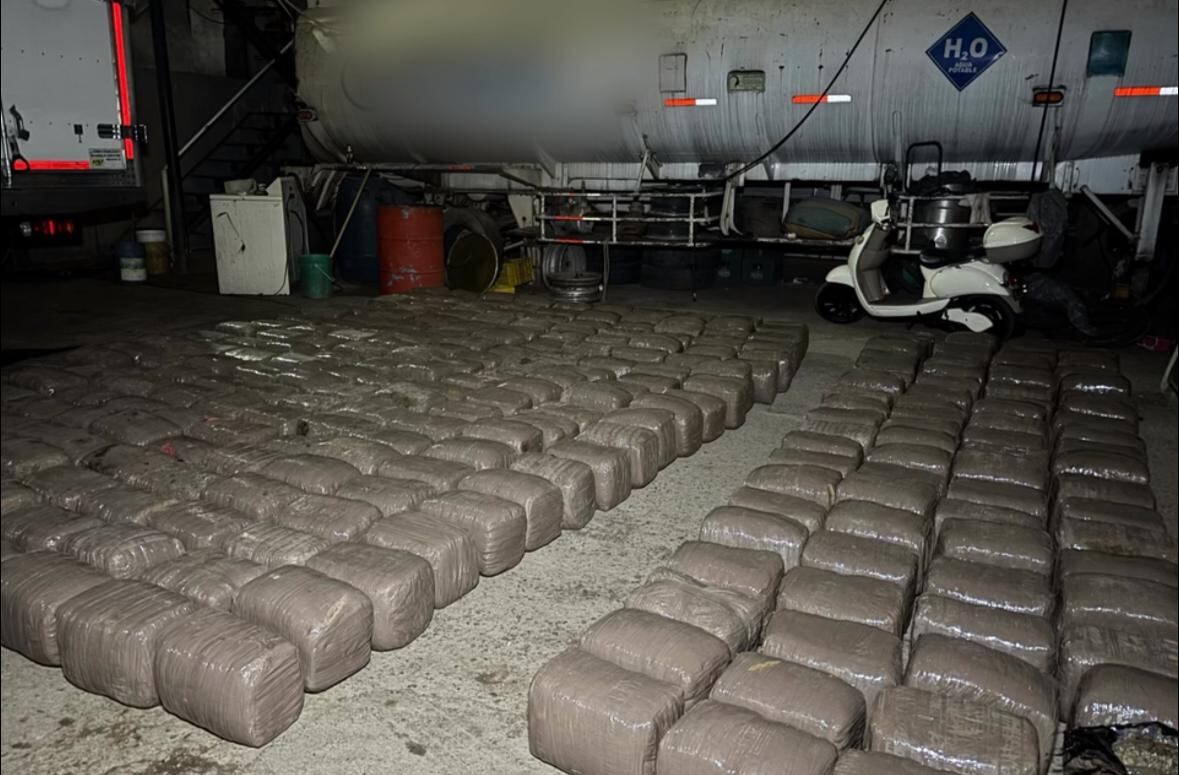 Cargamento de marihuana.