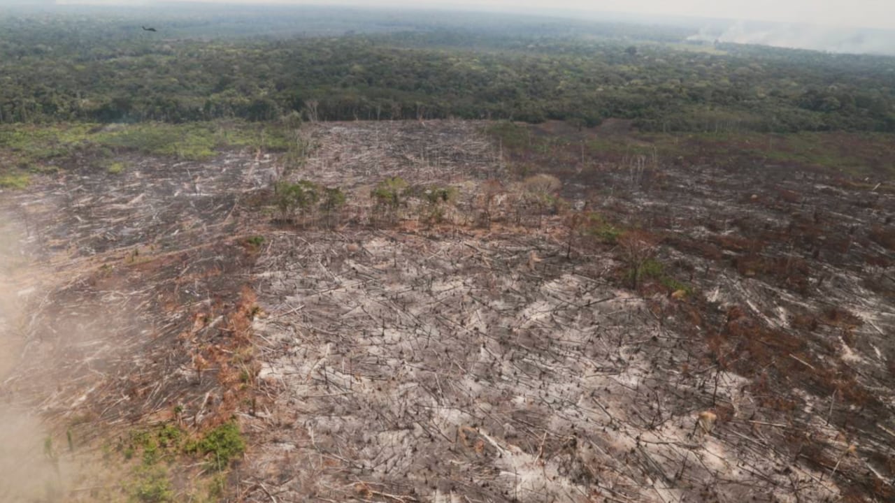 Deforestación en la Serranía de Chiribiquete. la Fiscalía General informó de la recuperación de 22 mil hectáreas de bosque en 2021.