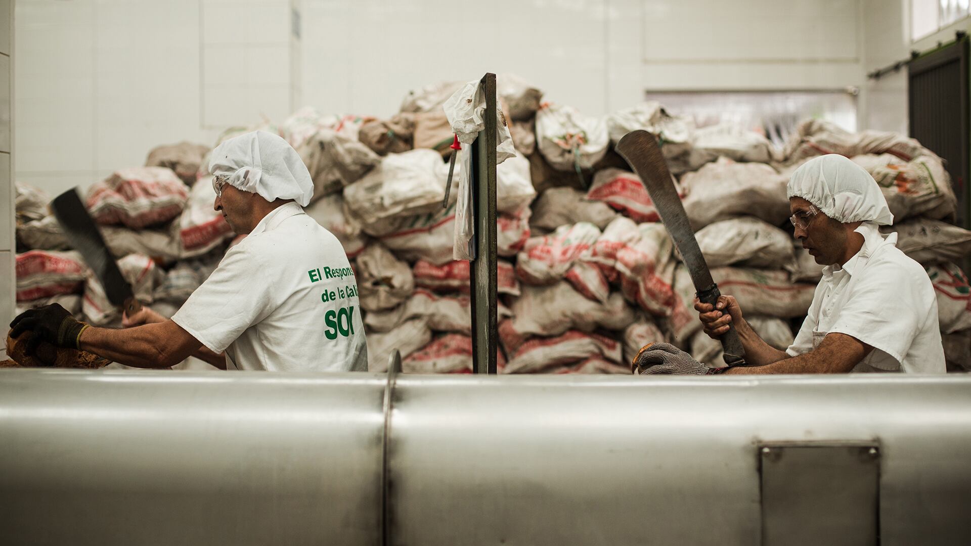 Según German Arce, en Colombia hay una tendencia hacia el exceso en la regulación y eso hace difícil la creación de empresa.