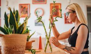 Planta para marzo de 2024.