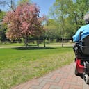 Imagen de referencia - Esclerosis múltiple