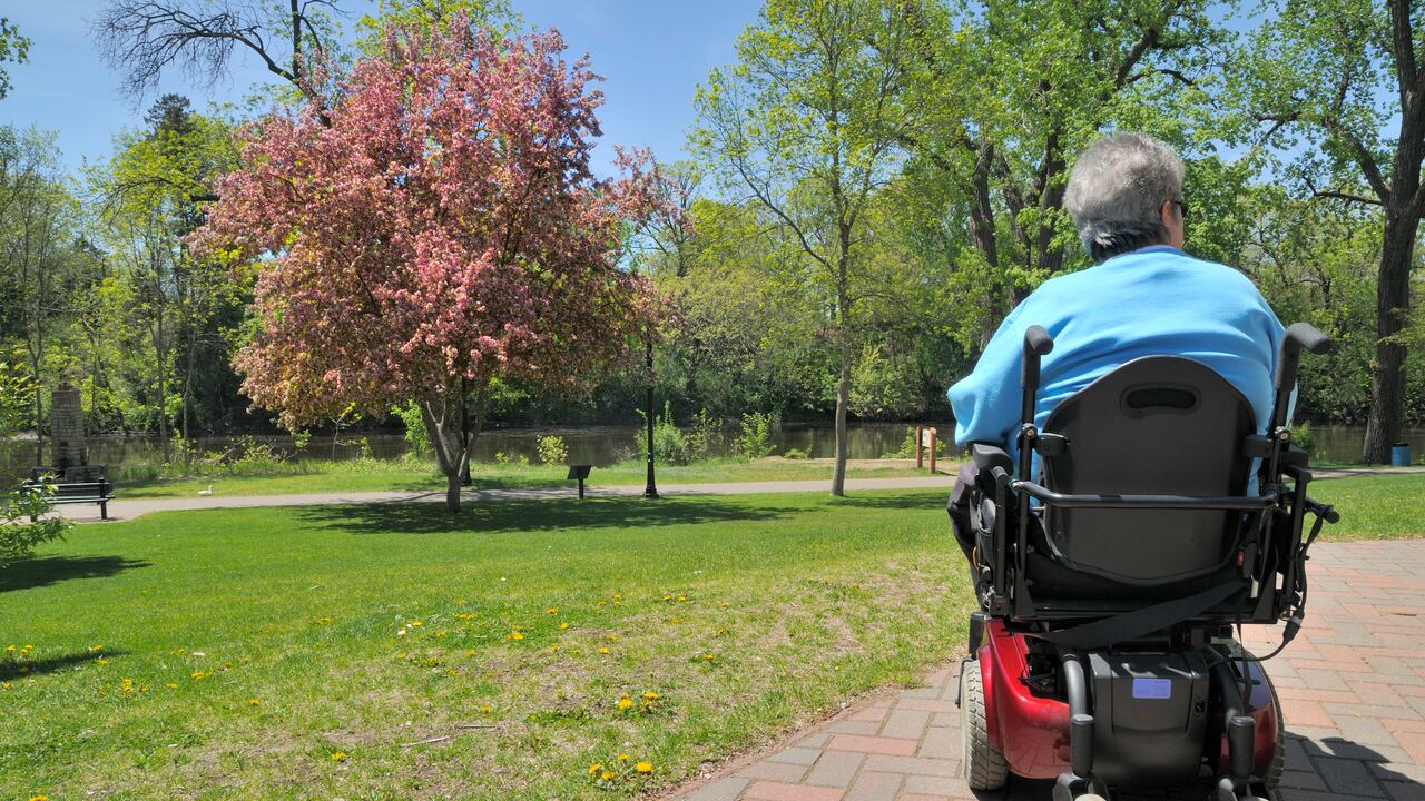 Imagen de referencia - Esclerosis múltiple