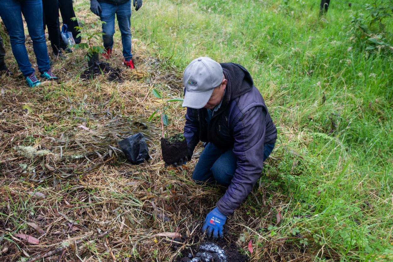 El alcance de Enel Biodiversa se extiende a más de diez ecosistemas como manglares, el Bosque Seco Tropical, el Bosque Alto Andino y el Humedal de Sabana.