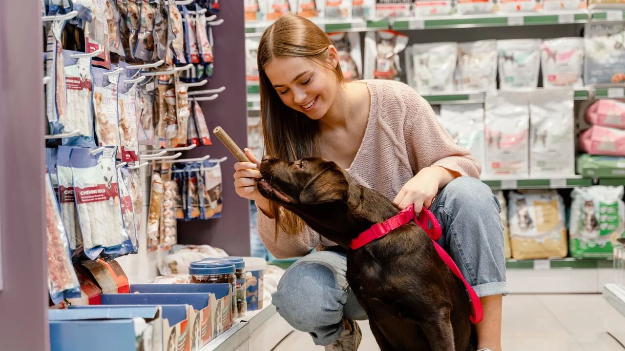 Concejo de Bogotá aprueba en primer debate proyecto para fortalecer negocios de bienestar animal