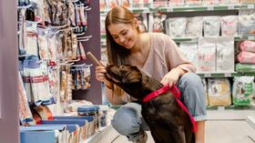 Concejo de Bogotá aprueba en primer debate proyecto para fortalecer negocios de bienestar animal