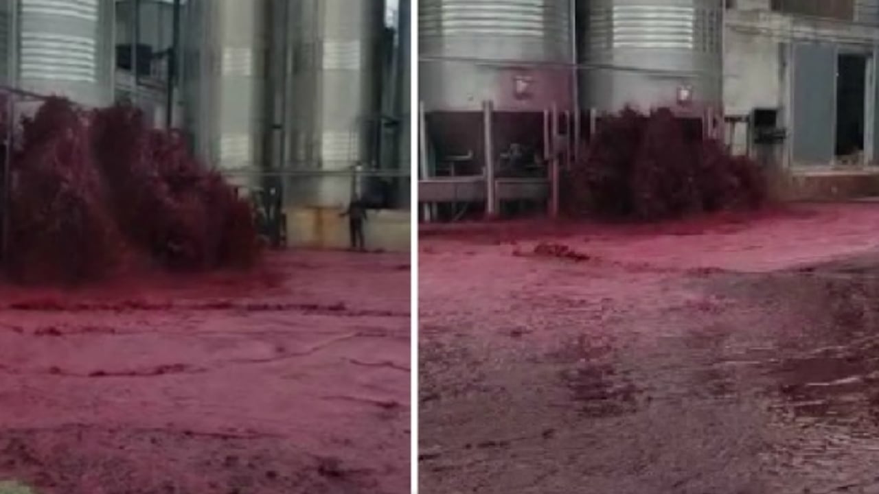 En video, así fue el accidente del depósito que pierde cincuenta mil litros de vino en España.