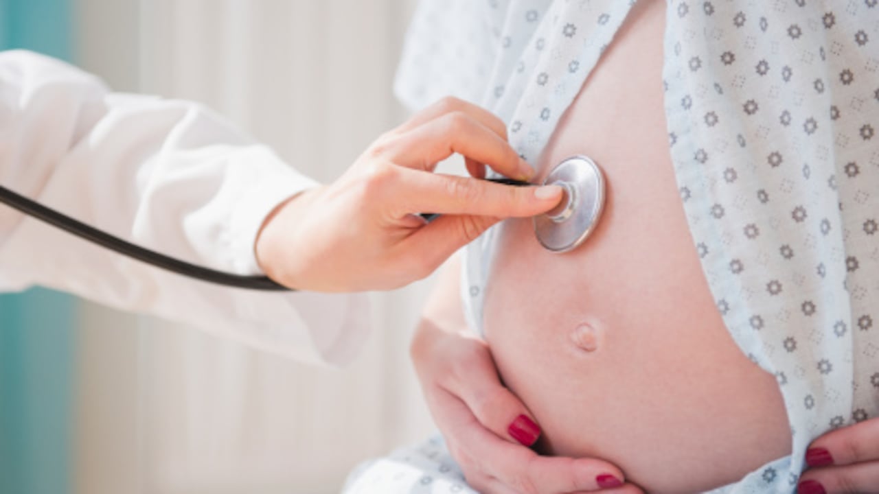 Imagen de referencia.