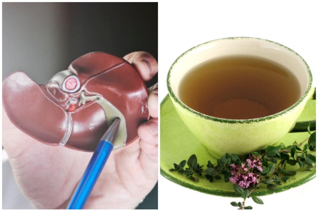 Remedio para el hígado graso.