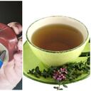 Cardo Mariano / Silybum marianum