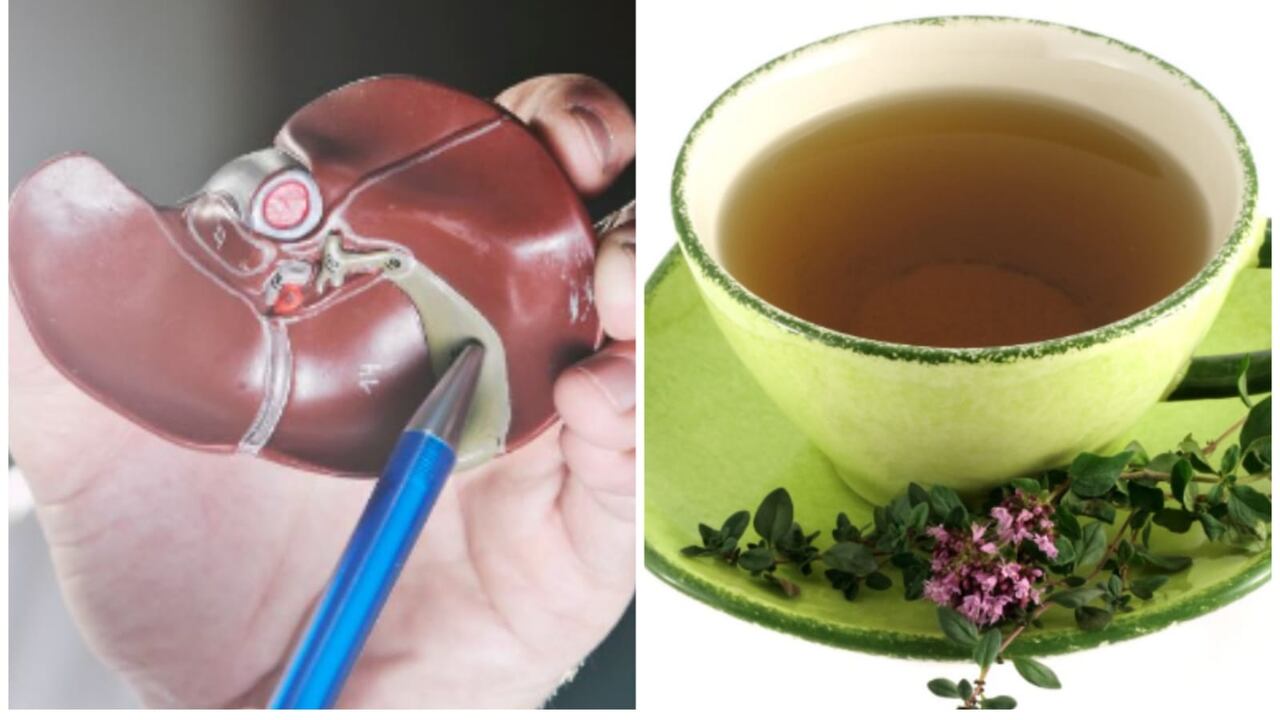 Limpiar y purificar el hígado hace que se pueda tratar cuando se acumula una cantidad excesiva de grasa, más conocida como la enfermedad del hígado graso.