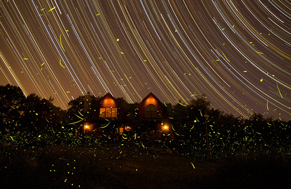 Las fotografías seleccionadas se exhiben en la sede del observatorio en Greenwich, Londres, hasta el 5 de febrero del 2013. Destacado en la categoría Tierra y Espacio: Noches de verano en Michigan, de Michael A. Rosinski (EE.UU.).