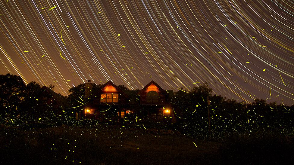 Las fotografías seleccionadas se exhiben en la sede del observatorio en Greenwich, Londres, hasta el 5 de febrero del 2013. Destacado en la categoría Tierra y Espacio: Noches de verano en Michigan, de Michael A. Rosinski (EE.UU.).