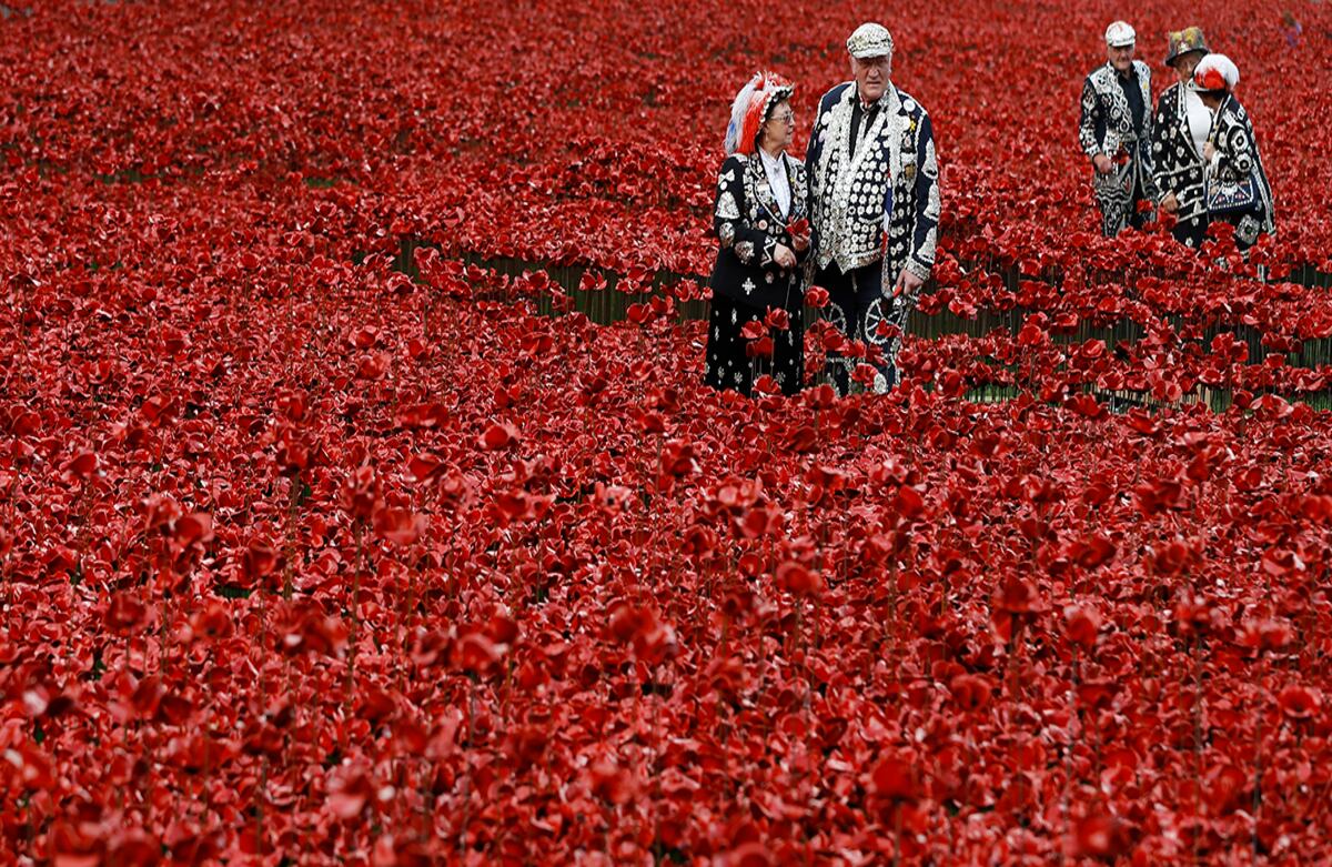 Un mar de amapolas rojas cubre los alrededores de la Torre de Londres, en Inglaterra. La instalación hace parte de un tributo que recuerda a los soldados británicos caídos durante la primera guerra mundial. (AP)