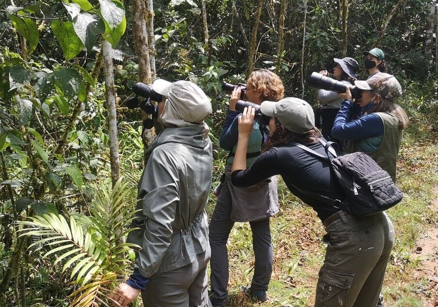 El avistamiento de aves es una oportunidad para conocer cientos de aves,