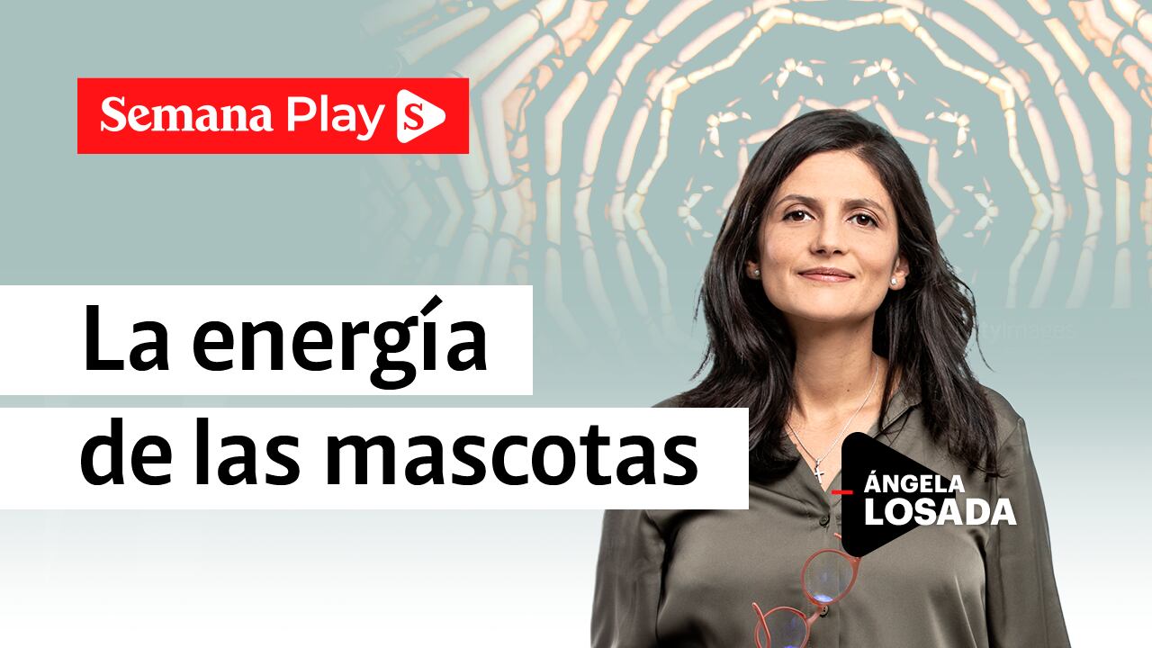 La energía de las mascotas | Ángela Losada en EficienteMENTE