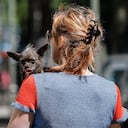 A woman carries a dog on May 31, 2021 as the sun shines in Berlin's Kreuzberg district. (Photo by David GANNON / AFP)