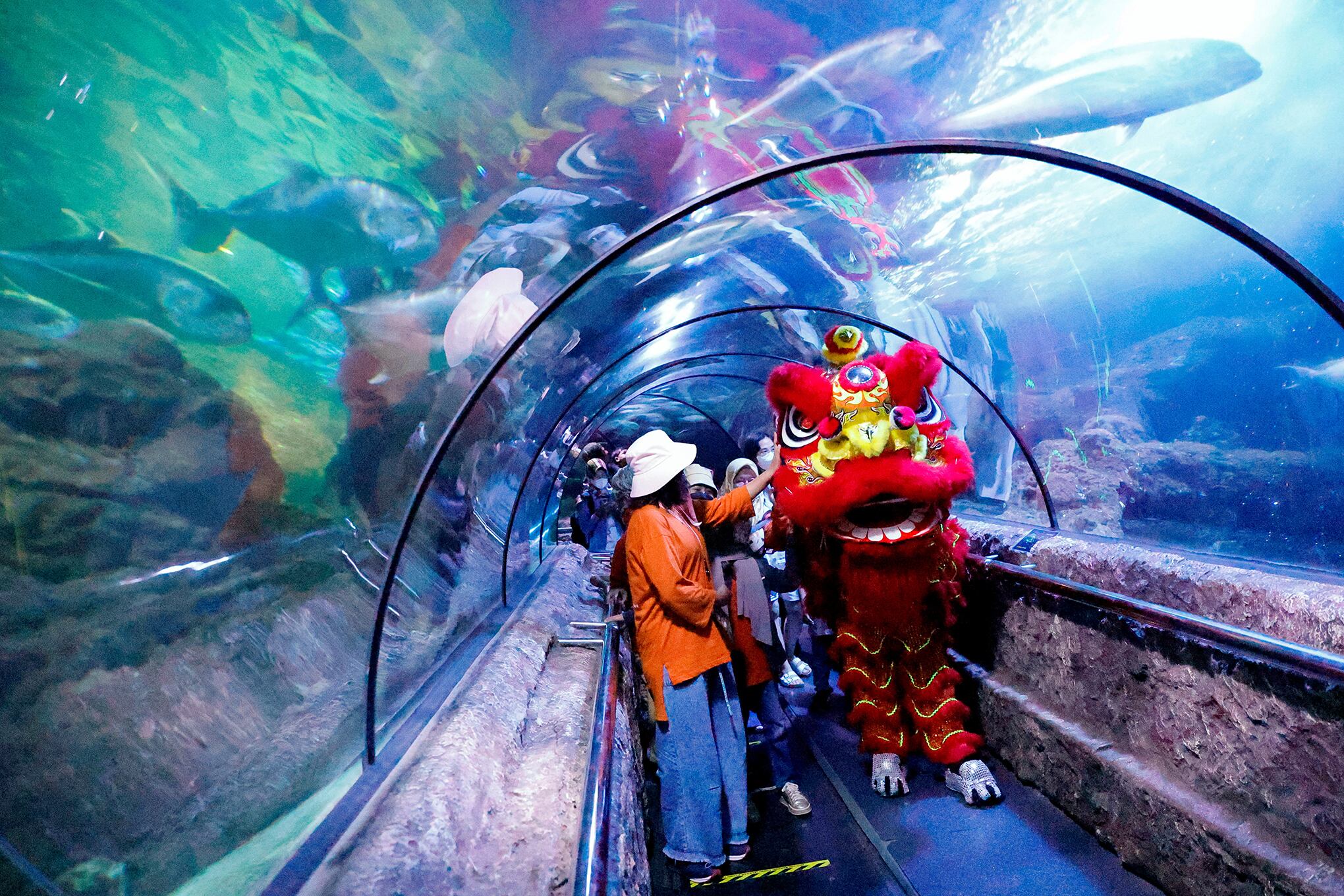 En imágenes: El Año del Conejo está a punto de comenzar