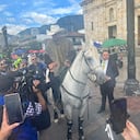 Pasaporte, el caballo de Alirio Barrera.