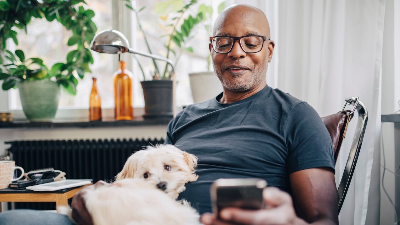 Las personas tienen mascotas para sentir compañía.