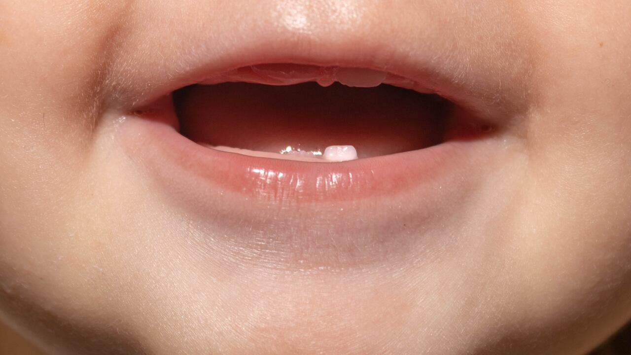 Los adultos le transmiten bacterias a los bebés por medio de la saliva.