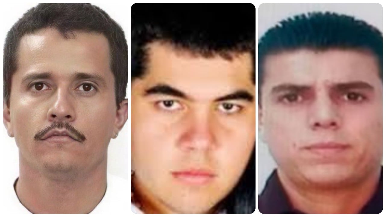 Alias El Mencho, alias el Sapo y alias el 03.