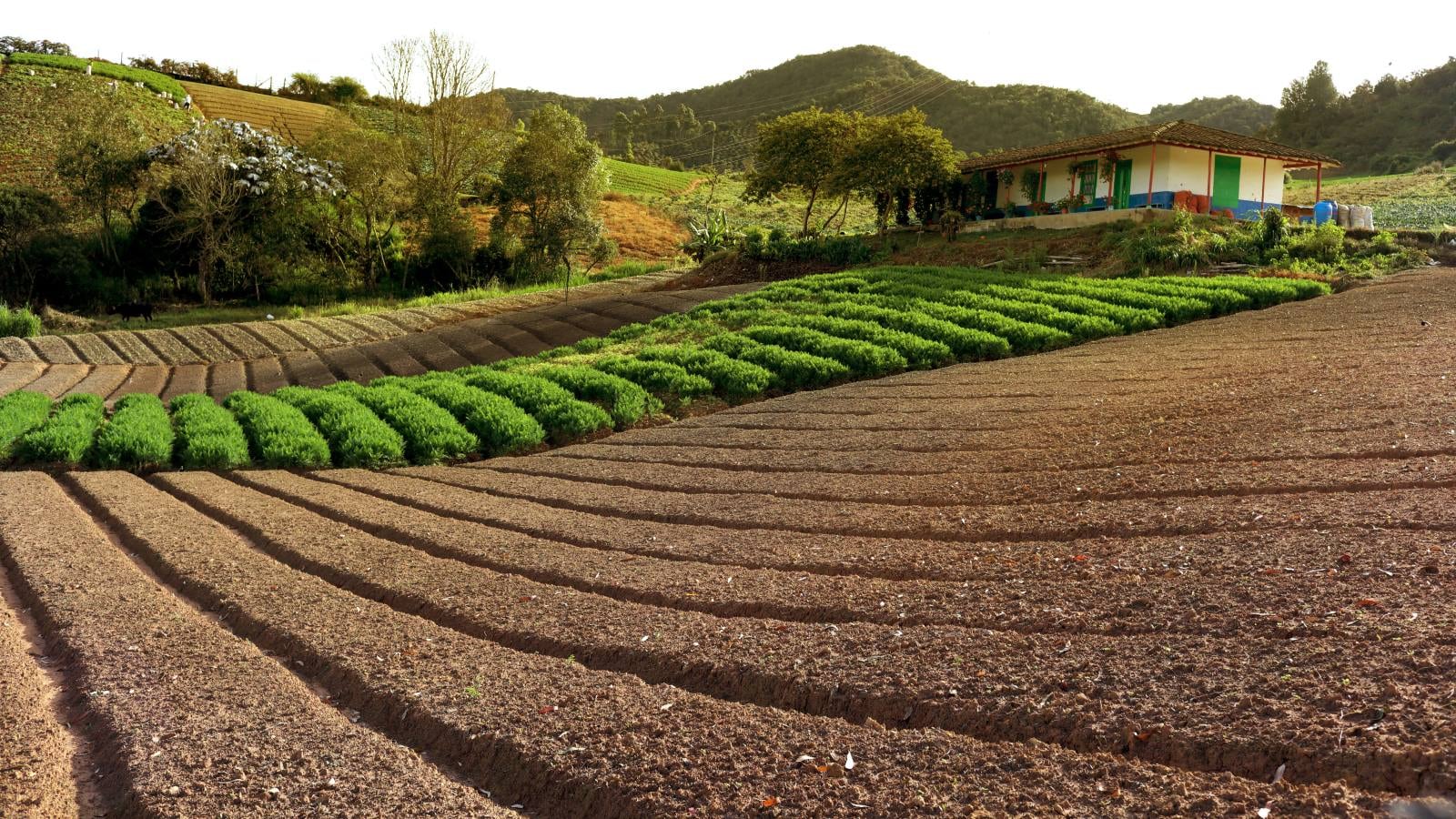 De los más de 17,1 millones de predios colombianos, 66 por ciento no cuenta con un catastro actualizado.