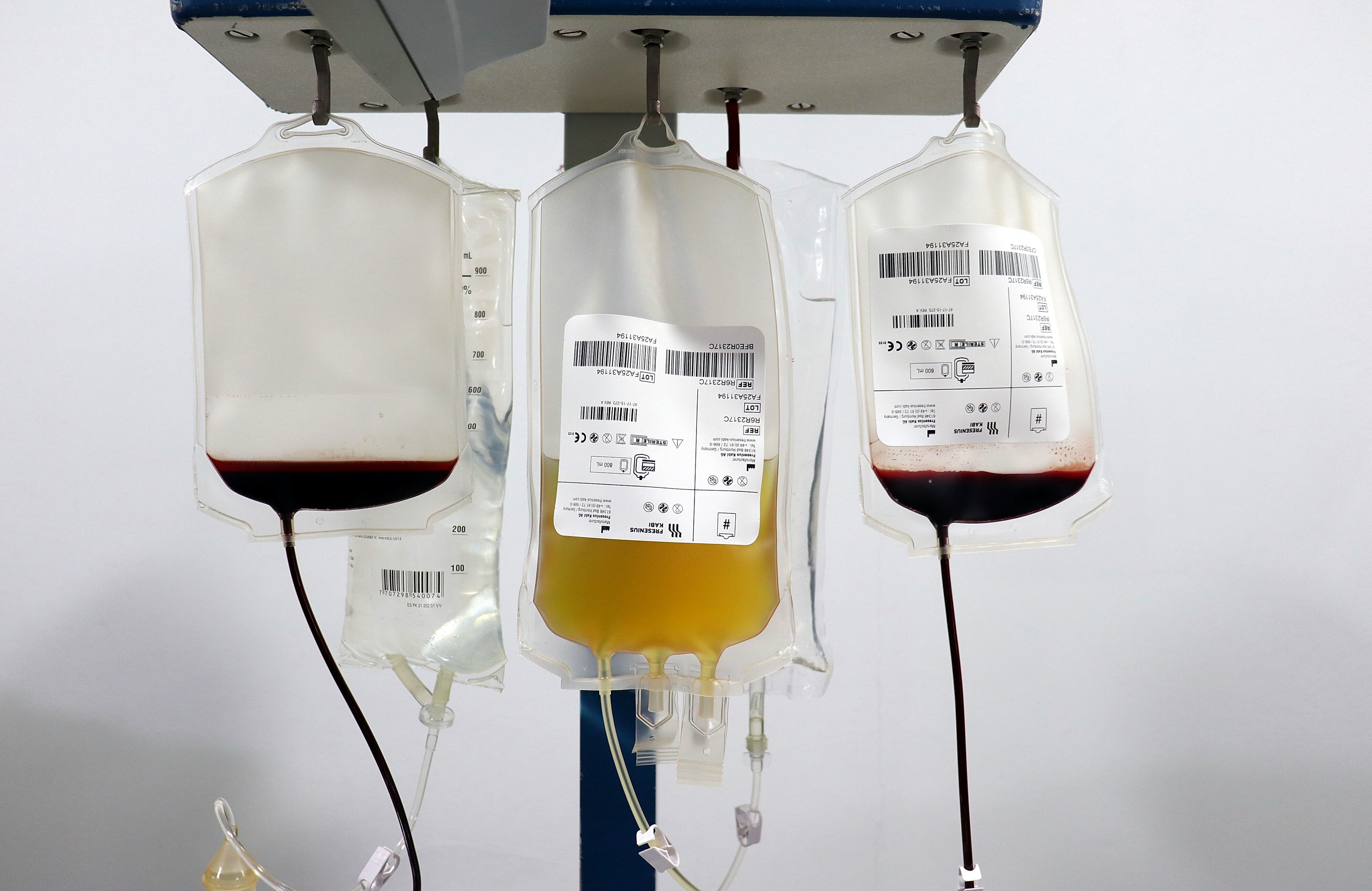 Banco de Sangre de la Cruz Roja en Cali.