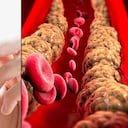 La vitamina que controla el colesterol.