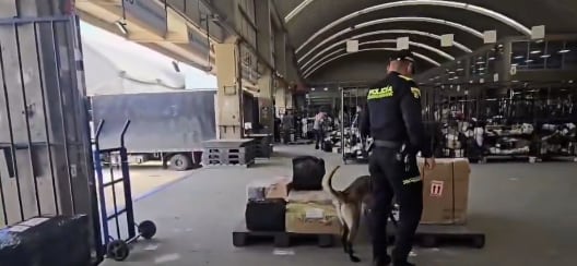La vigilancia y el control de los carabineros llegó de pronto a la empresa de mensajería y halló una sorpresa.Policía