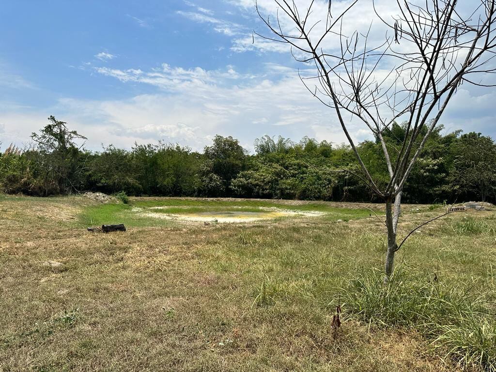 Incendio en la zona rural alta de Palmira