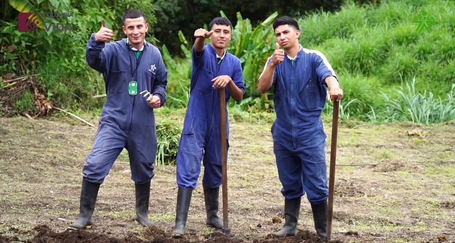 Sena destina $25.000 millones para apoyar emprendimientos campesinos en todo el país; conozca cómo aplicar