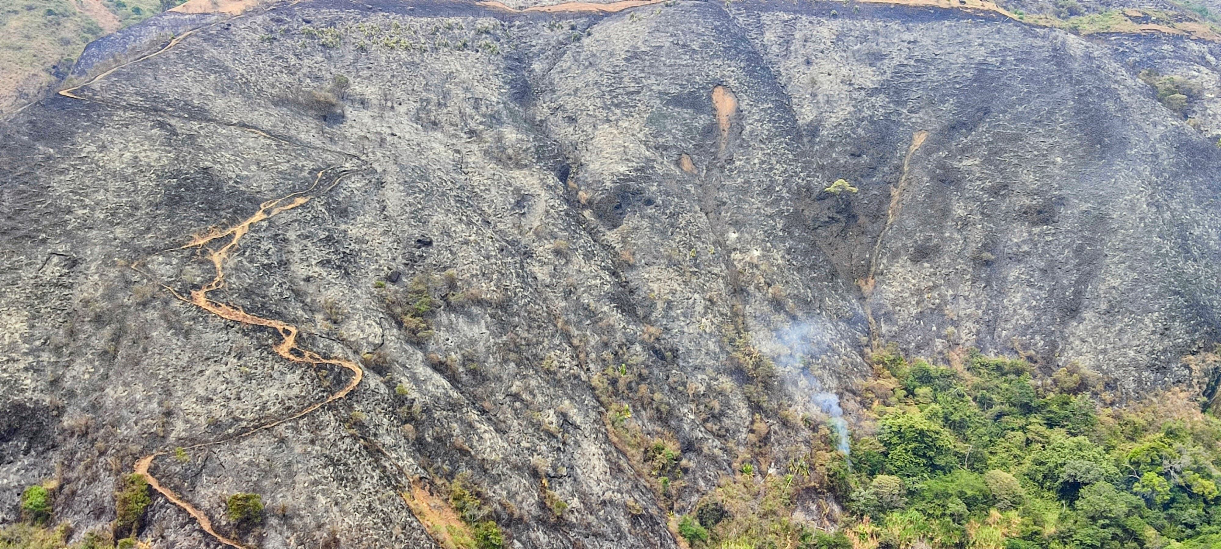 Incendio forestal en barrio Villa del Mar del sector de Terrón Colorado.