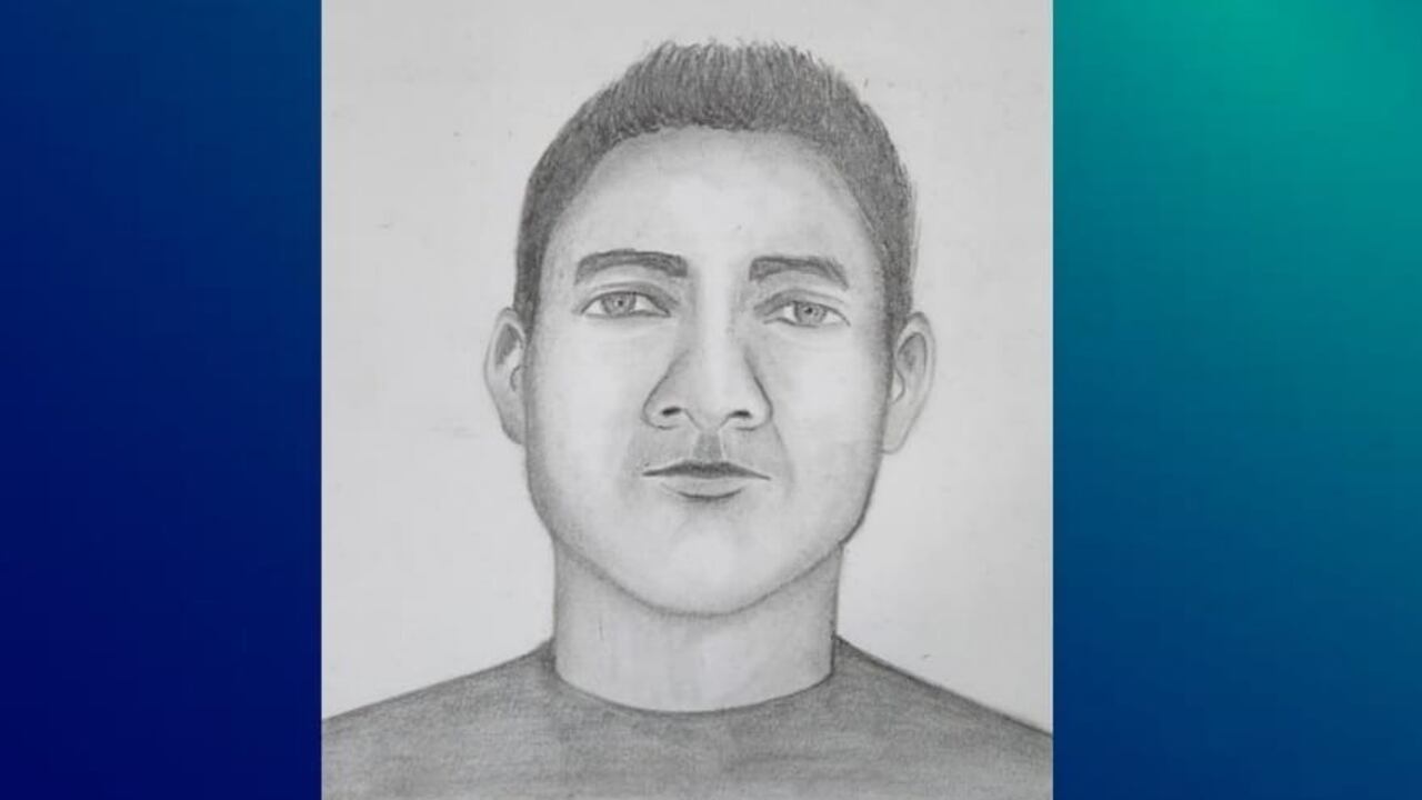 Con un retrato hablado revelan rostro del presunto asesino de una mujer en playas de Sucre.