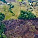 El incremento de la deforestación en el Parque Nacional Sierra de la Macarena ha sido impulsado por las disidencias de las Farc que buscan acaparar tierras para cultivar coca. Foto: Gobernación del Meta.