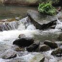 El páramo de Guacheneque en Villapinzón hace parte de un complejo mayor denominado Páramo de Rabanal – Río Bogotá. Foto: Nicolas Acevedo.